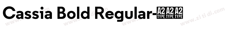 Cassia Bold Regular字体转换